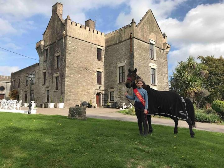 Ballea Castle Cork Exterior foto